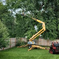 Trusted West Hills, PA Tree Care Experts
